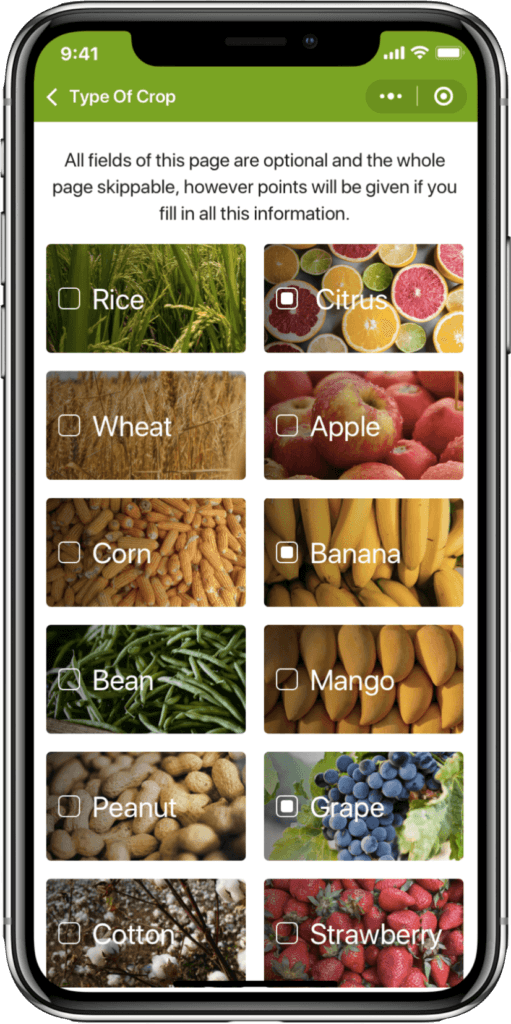 IT Consultis Project BASF WeChat Mini Program phone mockup Product Category page