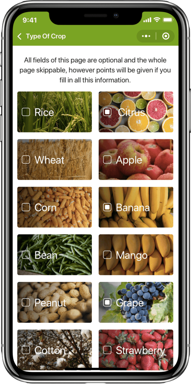 IT Consultis Project BASF WeChat Mini Program phone mockup Product Category page
