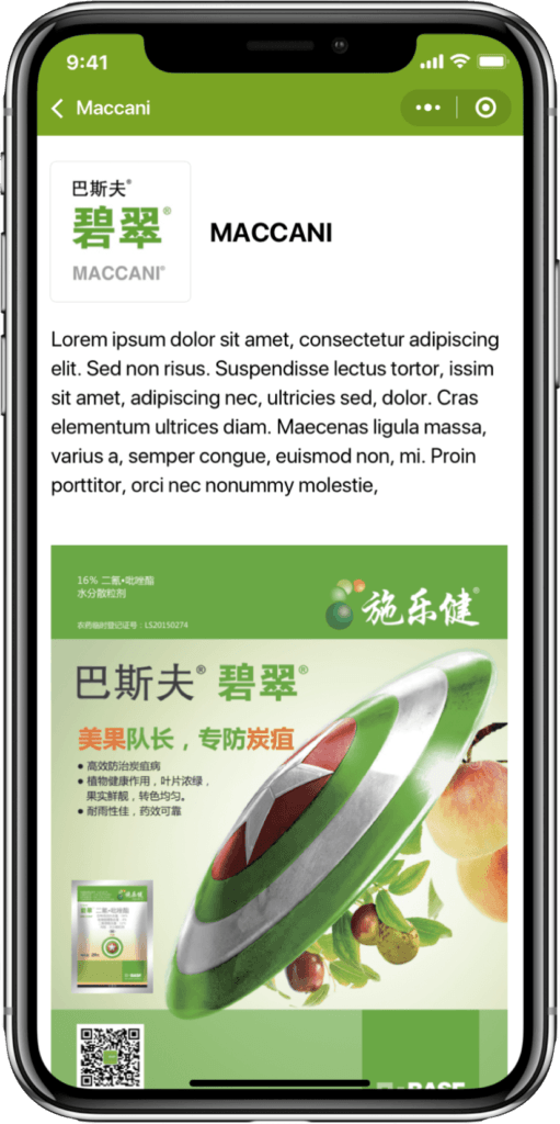 IT Consultis Mini Program phone mockup Product Detail page