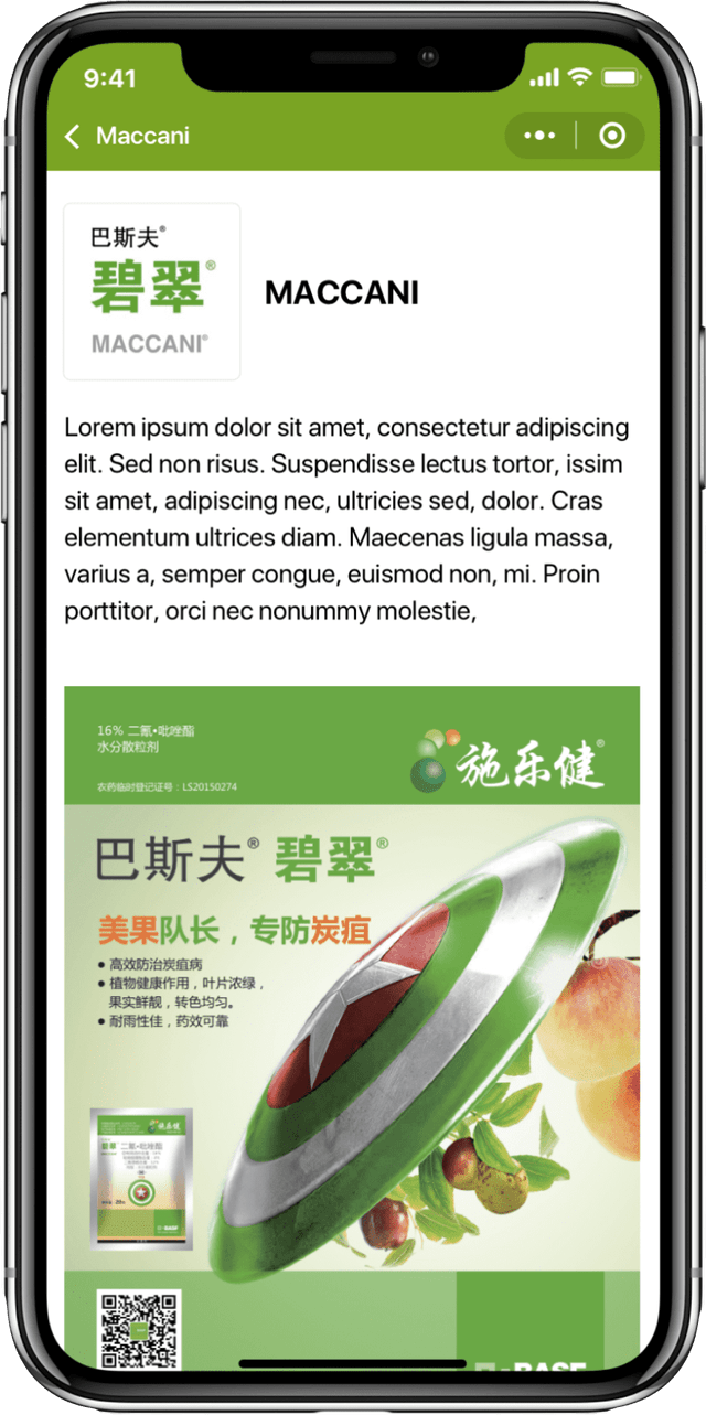 IT Consultis Mini Program phone mockup Product Detail page