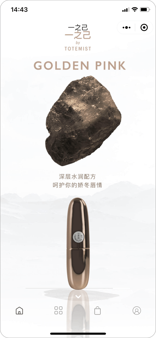 IT Consultis Project YiZhiJi by Totemist mockup 1