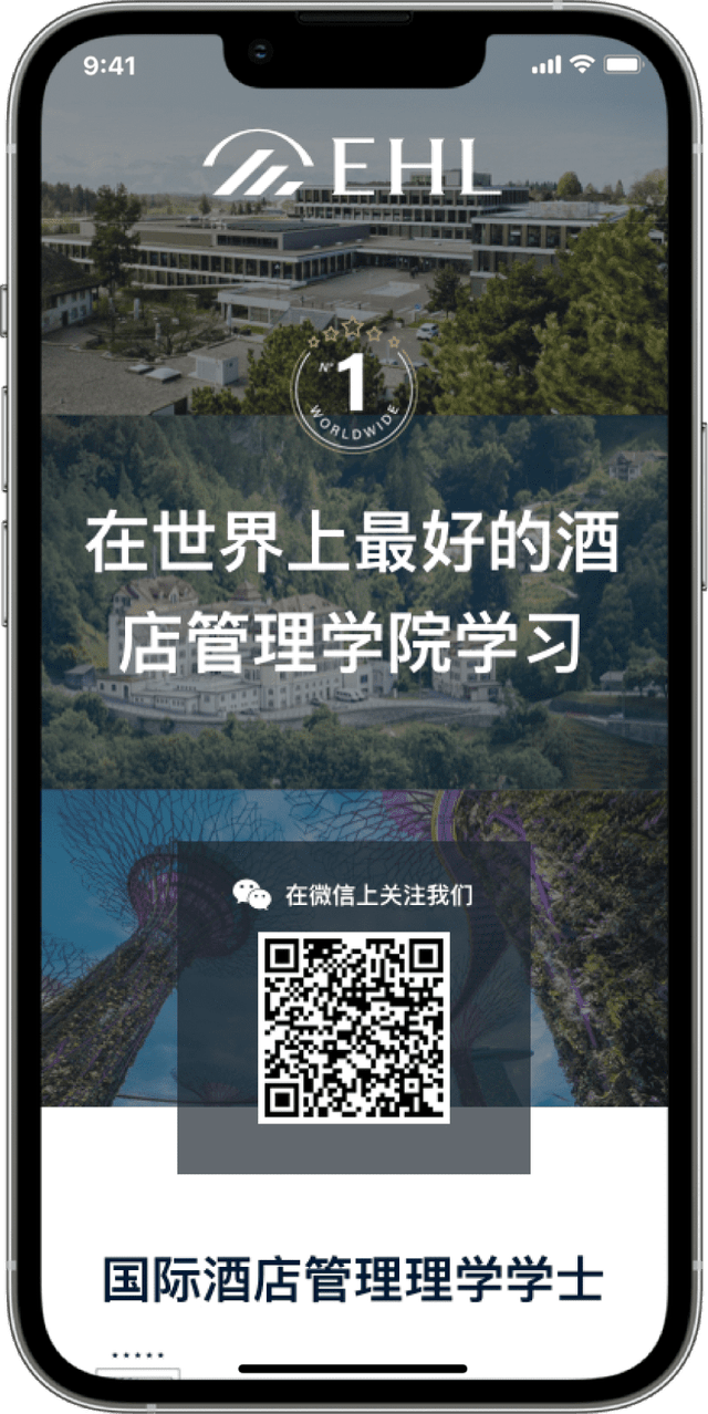 IT Consultis Project EHL mobile mockup Homepage