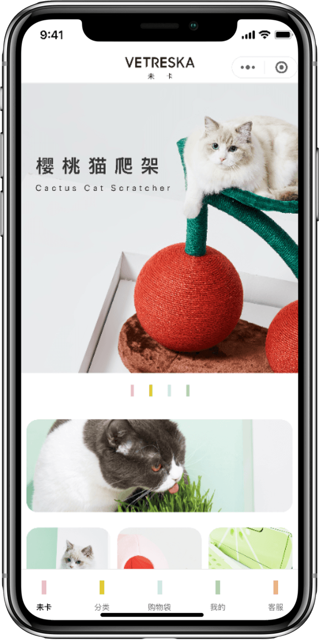 IT Consultis Project Vetreska mobile mockup 1 (1)