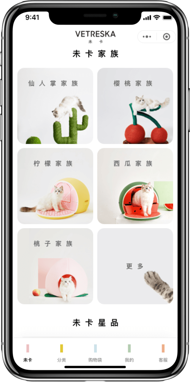 IT Consultis Project Vetreska mobile mockup 2 (1)