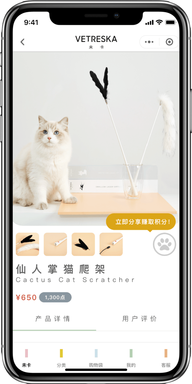 IT Consultis Project Vetreska mobile mockup 3 (1)