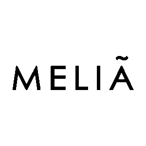 IT Consultis Project Melia 11 draft 2