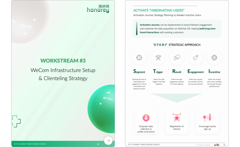 IT Consultis Project Hanarey 11 draft 1 (1)