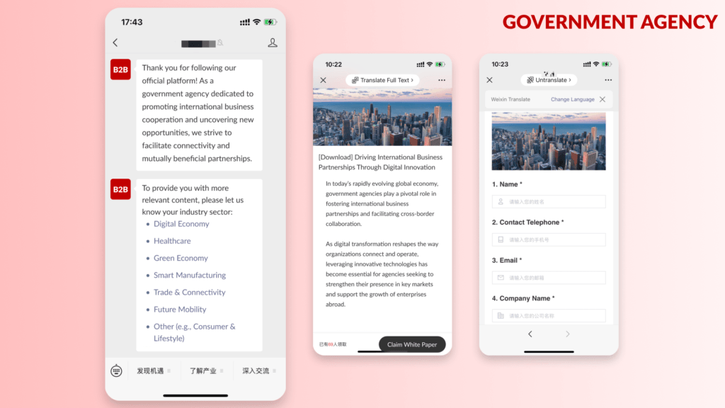 cross-border B2B digital transformation in China for a governmental agency