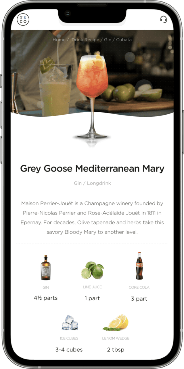IT Consultis Project Pernod Ricard Phone