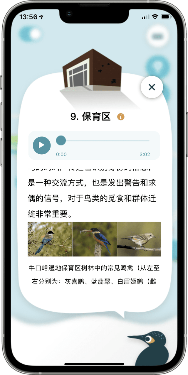 IT consultis project veolia niukouyu wetland park mobile app phone mockup