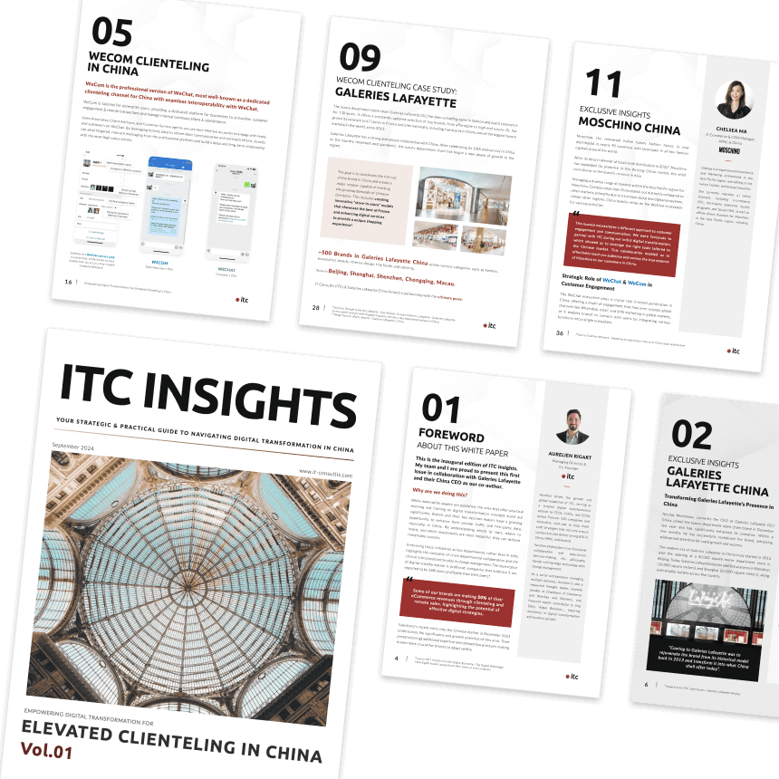 ITC洞察第1卷白皮书，由IT Consultis出品，深入解析中国客户服务管理