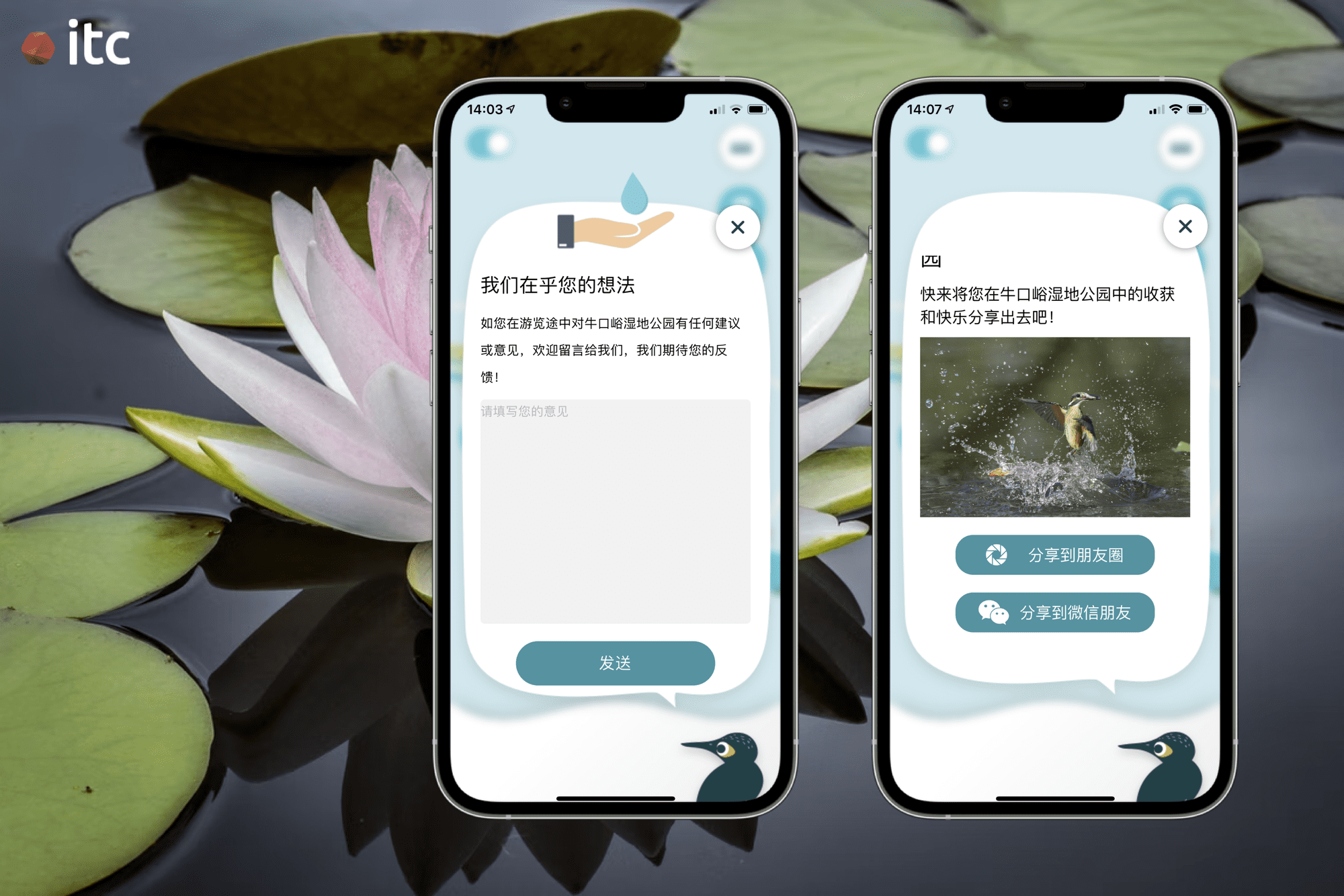 Users can write feedback (left) and share their experience at the Wetland Park with their friends on WeChat (right)