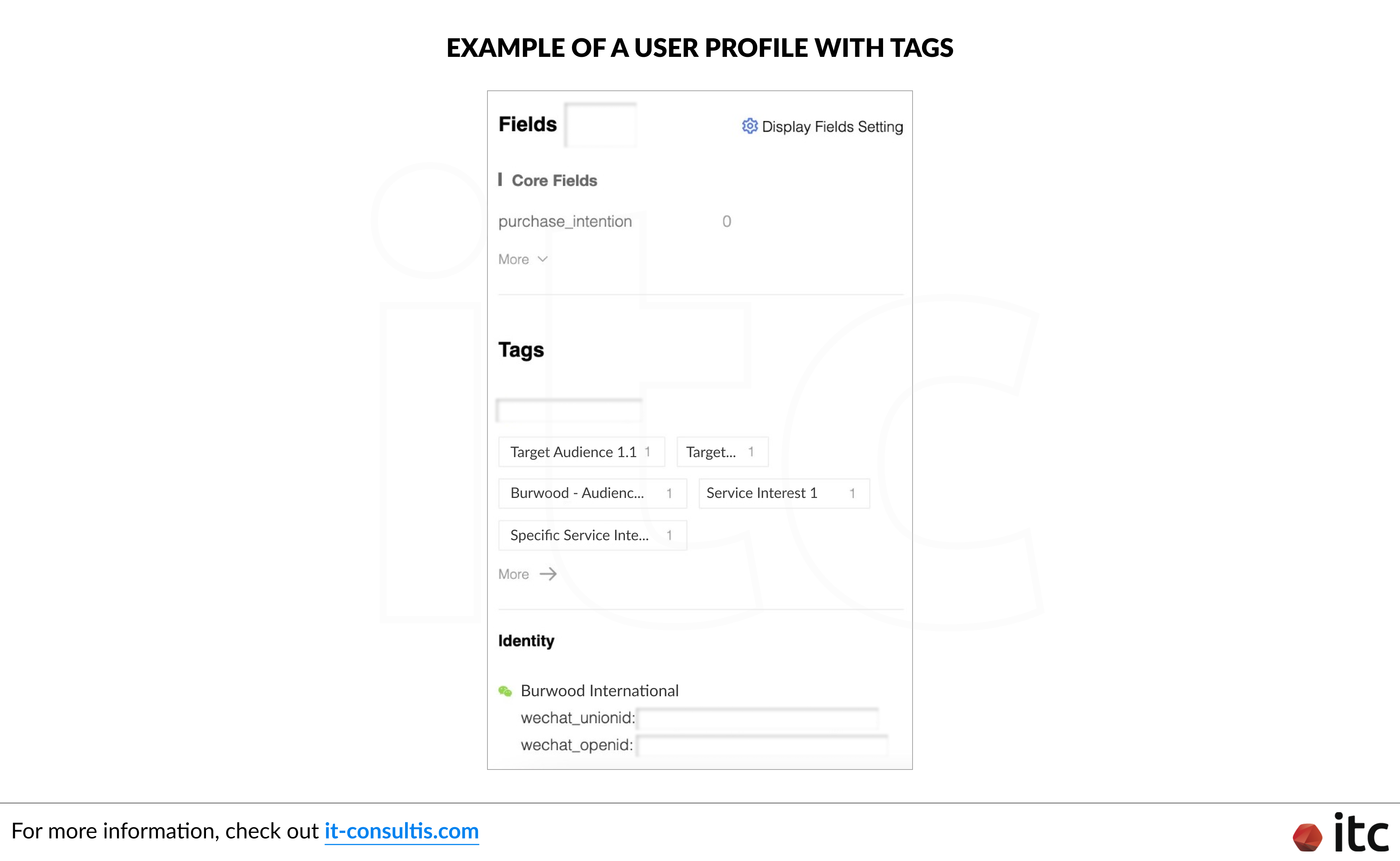 Example of an user profile with tags on a Social CRM tool - JingSocial