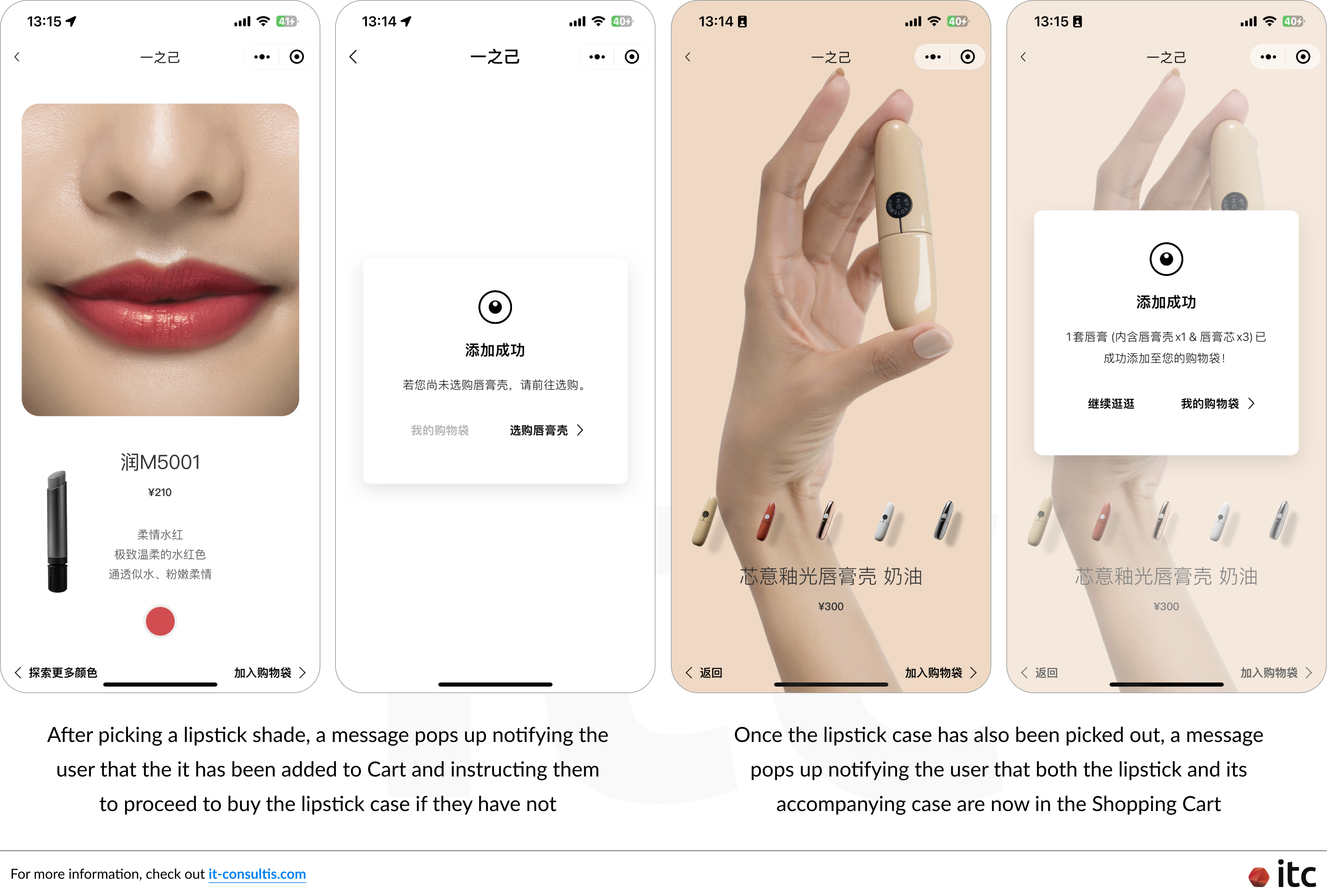 Bundled products - Lipstick x Case - on Yizhiji eCommerce WeChat Mini Program that are often purchased together