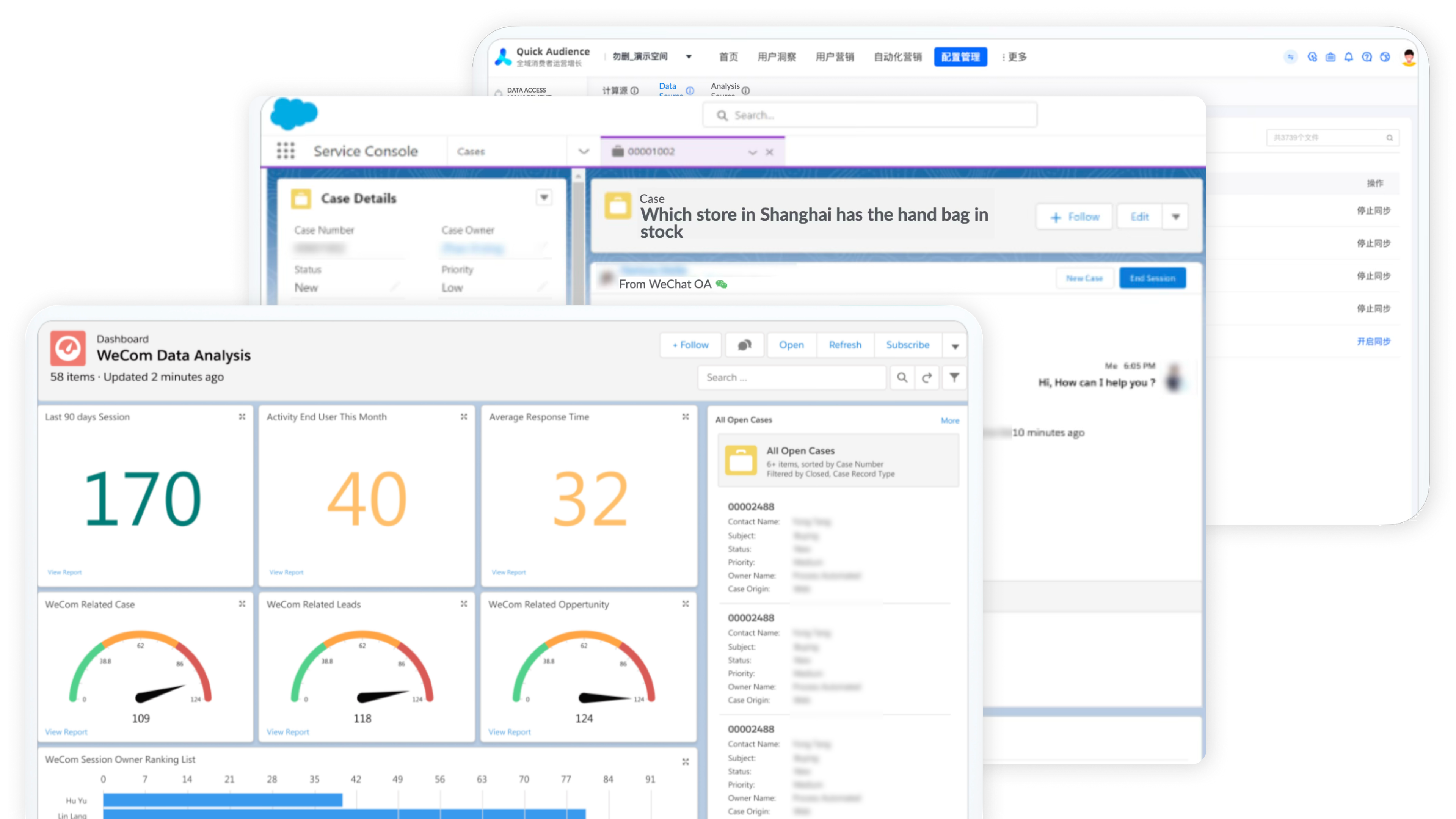 Salesforce on Alibaba Cloud interface