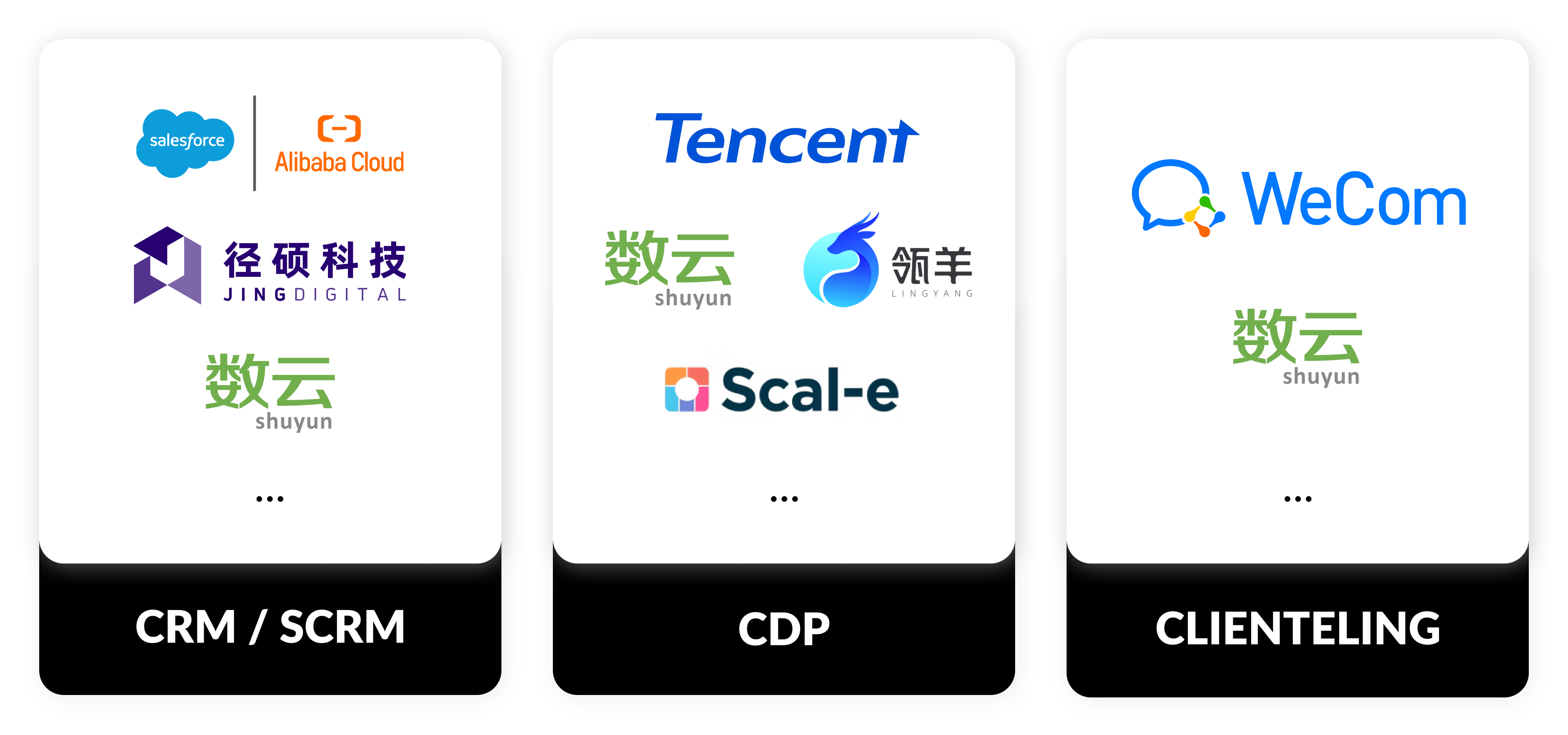 ITC advises on the selection and implementation of localized CRM, CDP, and clienteling solutions to ensure effective data collection across China’s digital platforms, local data residency, and compliance with PIPL