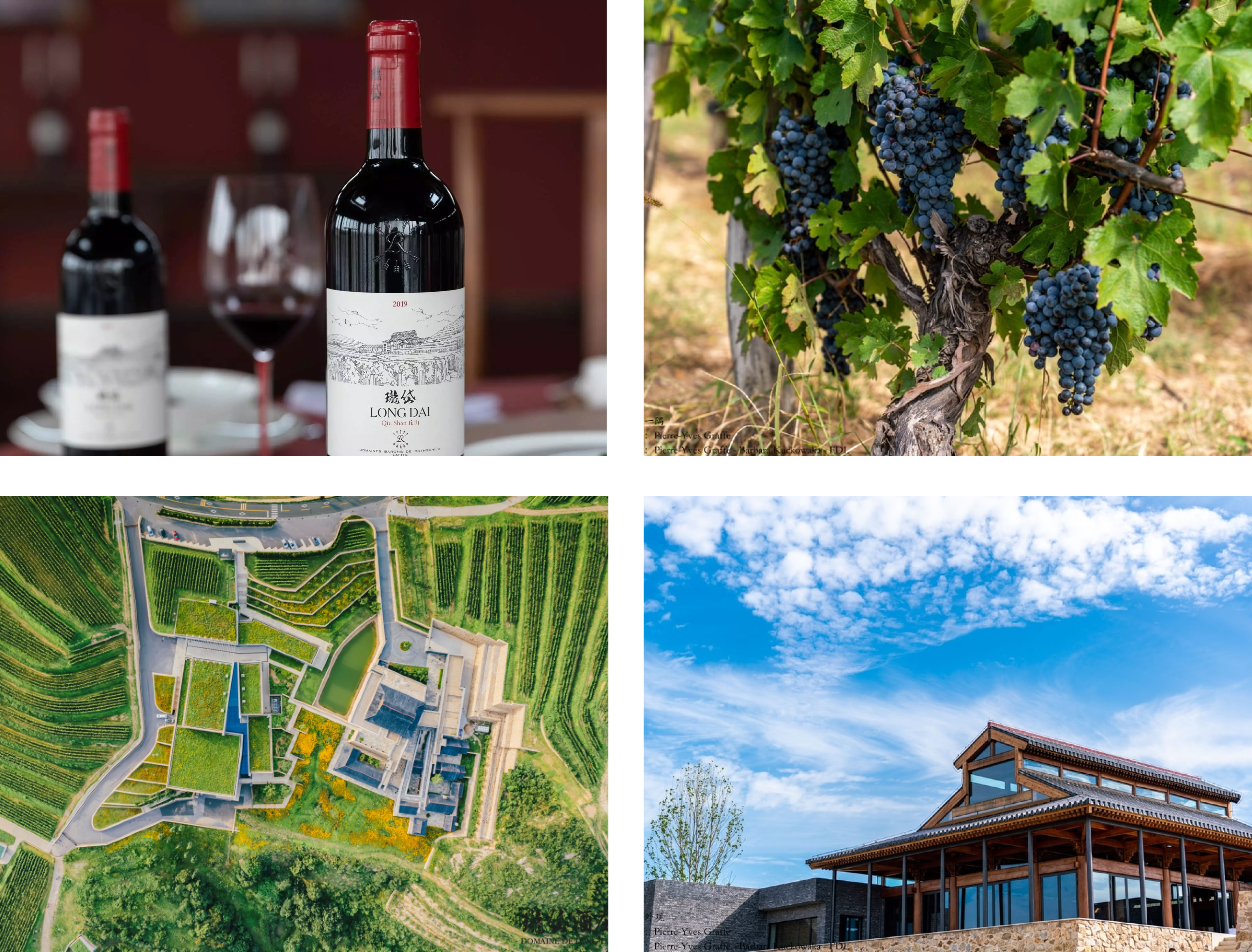 Domaine de Long Dai (Long Dai), Château Lafite Rothschild’s prestigious Chinese wine estate.