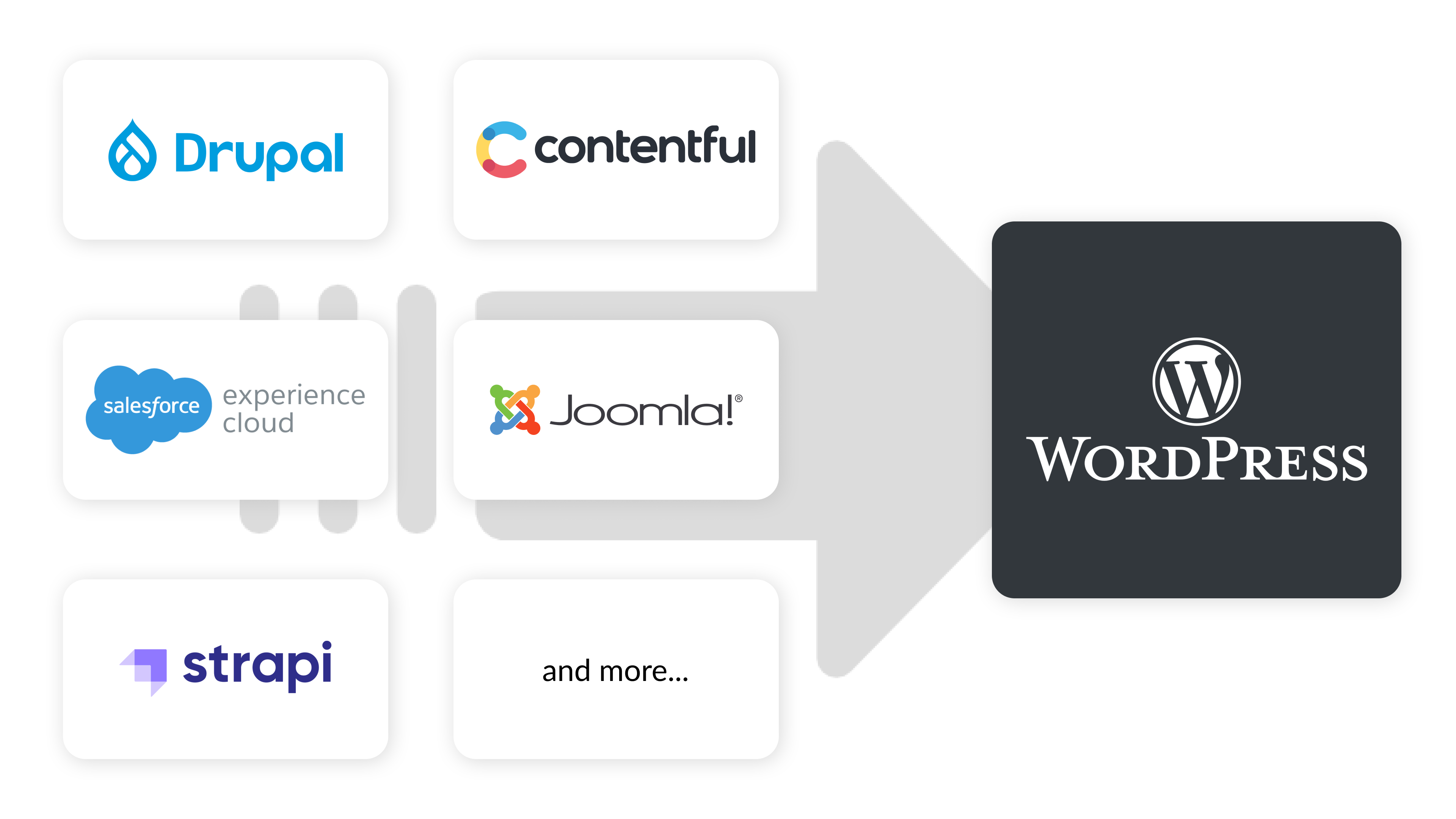 ITC 可协助进行 WordPress 迁移与平台重构，规划并执行从旧版 CMS（如 Contentful、Joomla、Strapi）或过时的 WordPress 实例迁移到现代、可扩展的平台。